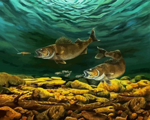 Catching Walleye Underwater paint by numbers