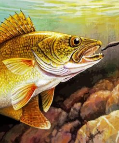 Catching Walleye Fish paint by numbers