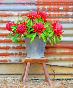 Waratah Plants Bouquet paint by numbers