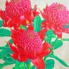 Aesthetics Waratah Plants paint by numbers