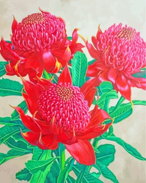 Aesthetics Waratah Plants paint by numbers