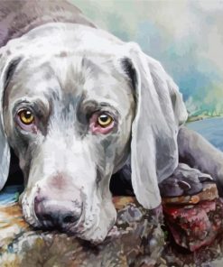 Adorable Weimaraner paint by numbers