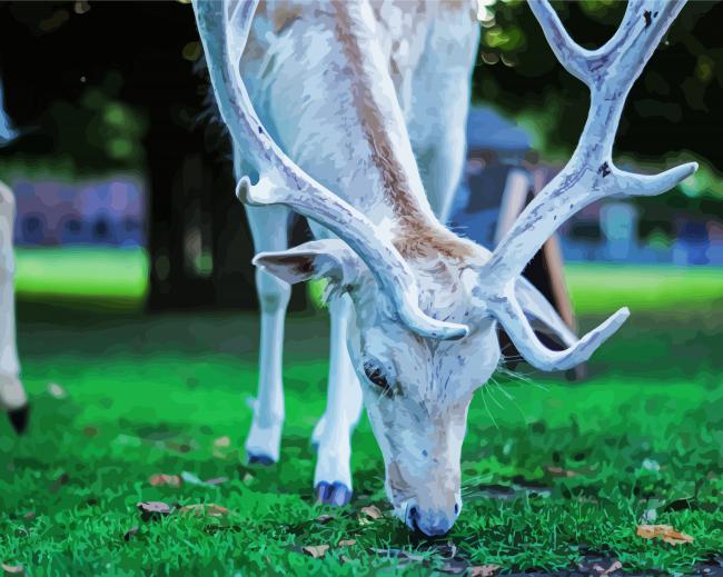 White Deer Eating Grass paint by numbers