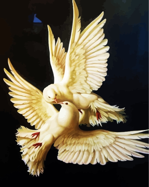 White Doves Lovers paint by numbers