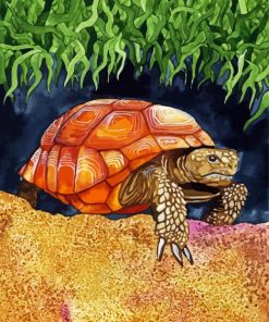 Wild Tortoise Art paint by numbers