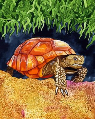 Wild Tortoise Art paint by numbers