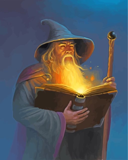 Wizard Man paint by numbers