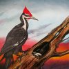 Woodpecker Bird Art paint by numbers