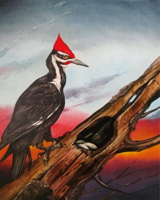 Woodpecker Bird Art paint by numbers