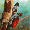 Woodpeckers Birds paint by numbers