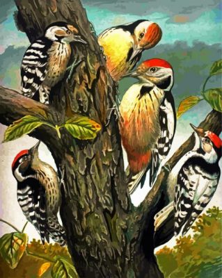 Woodpeckers Family Picoides paint by numbers