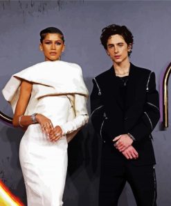 Zendaya And Timothée Chalamet paint by numbers