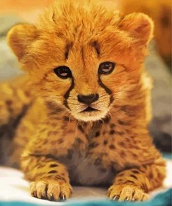 Adorable Cheetah Cub paint by numbers