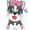 Cute Husky Dog paint by numbers