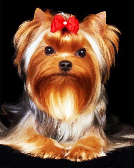 Adorable Yorkie Puppy paint by numbers