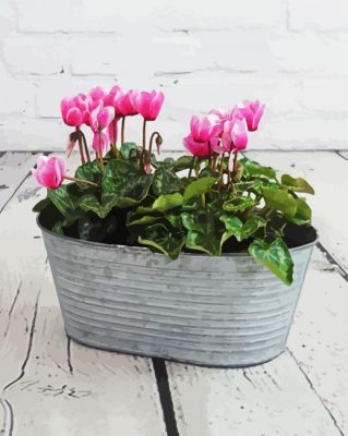Aesthetics Cyclamens Flowers paint by numbers