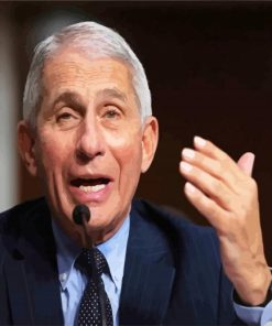 Anthony Fauci paint by numbers