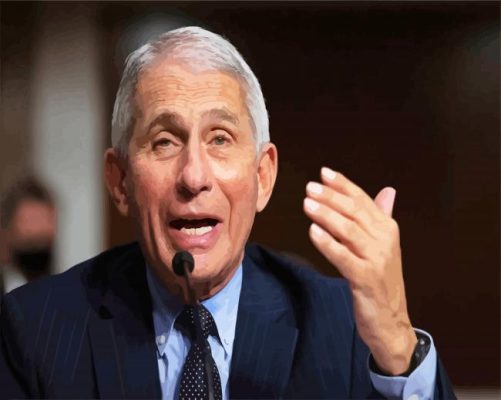 Anthony Fauci paint by numbers