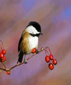 Aesthetic Chickadee Bird paint by numbers