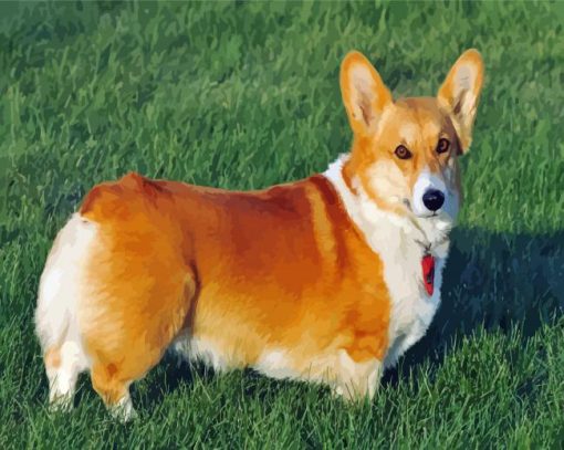 Adorable Corgis Pet paint by numbers