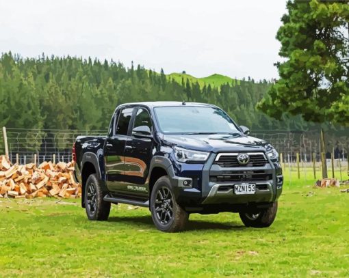 Black Toyota Utes paint by numbers