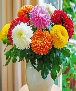 Chrysanthemum Flowers paint by numbers