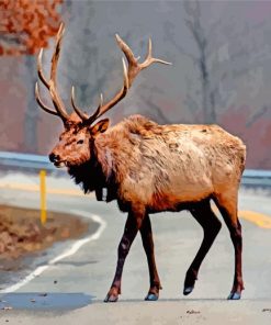 Aesthetic Elk paint by numbers