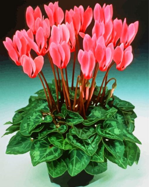 Beautiful Pink Cyclamens paint by numbers