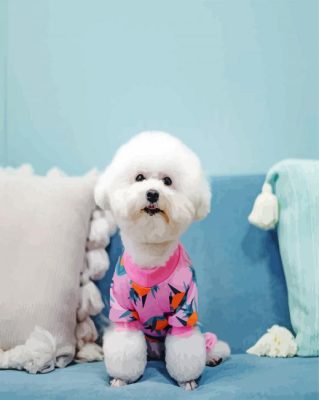 Bichon Frise Wearing Pajamas paint by numbers