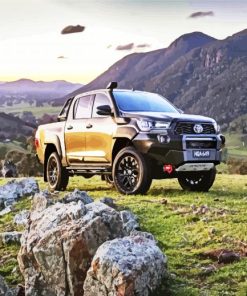 Brown Toyota Hilux Utes paint by numbers