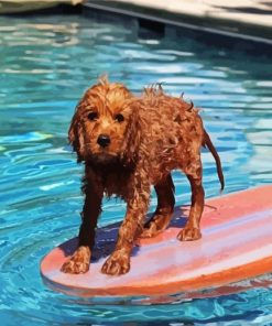 Cavapoo Swimming Pool paint by numbers