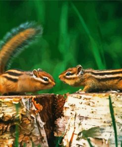 Chipmunks Animals paint by numbers