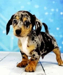 Adorable Chiweenie Puppy paint by numbers