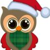 Christmas Owl Bird paint by numbers