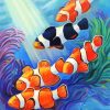 Clownfish Family paint by numbers