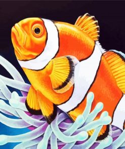 Aesthetic Clownfish paint by numbers