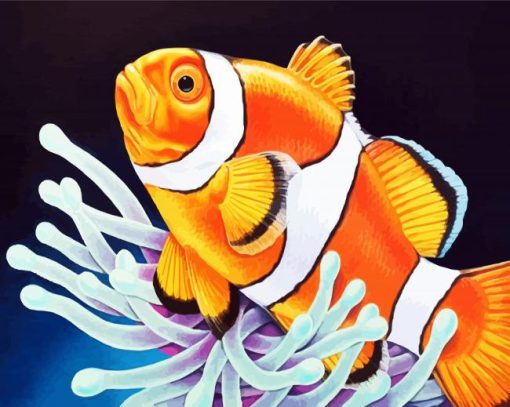 Aesthetic Clownfish paint by numbers