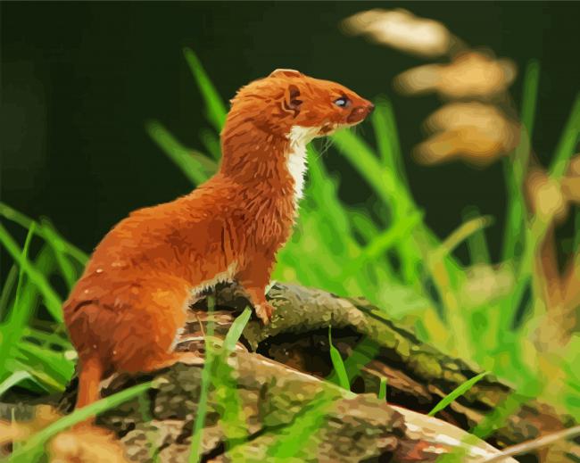 Aesthetic Brown Weasel paint by numbers