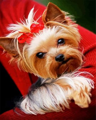 Aesthetic Yorkie Puppy paint by numbers