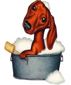 Dachshund In Bath paint by numbers