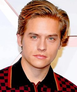 Dylan Sprouse Actor paint by numbers