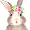 Floral Bunny paint by numbers