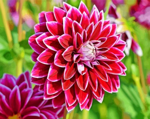 Aesthetic Dahlia Flower paint by numbers