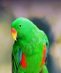 Green Eclectus Parrots paint by numbers