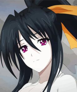 Akeno Himejima paint by numbers