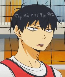 Tobio Kageyama Character paint by numbers