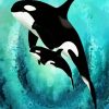 Killer Whales paint by numbers