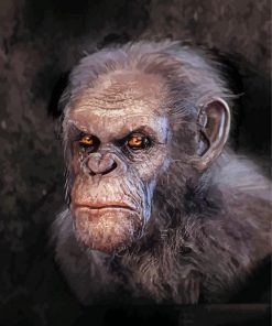 Planet Of The Apes Character paint by numbers