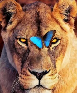 Lioness And Butterfly paint by numbers