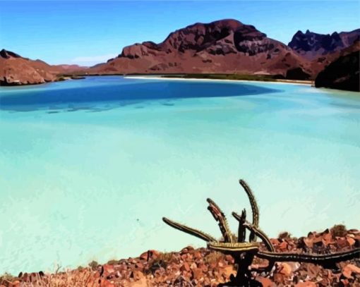 Baja California Peninsula paint by numbers